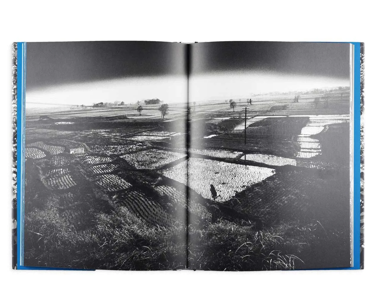 kamaitachi_eikoh_hosoe