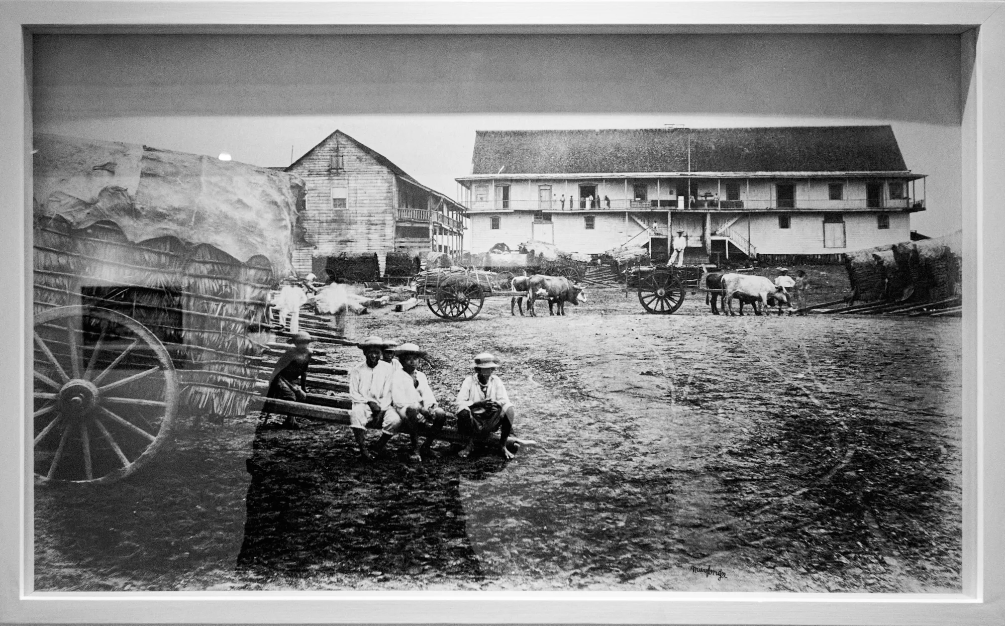 Muybridge 150 años: el pasado que todavía nos mira - Escuela efe